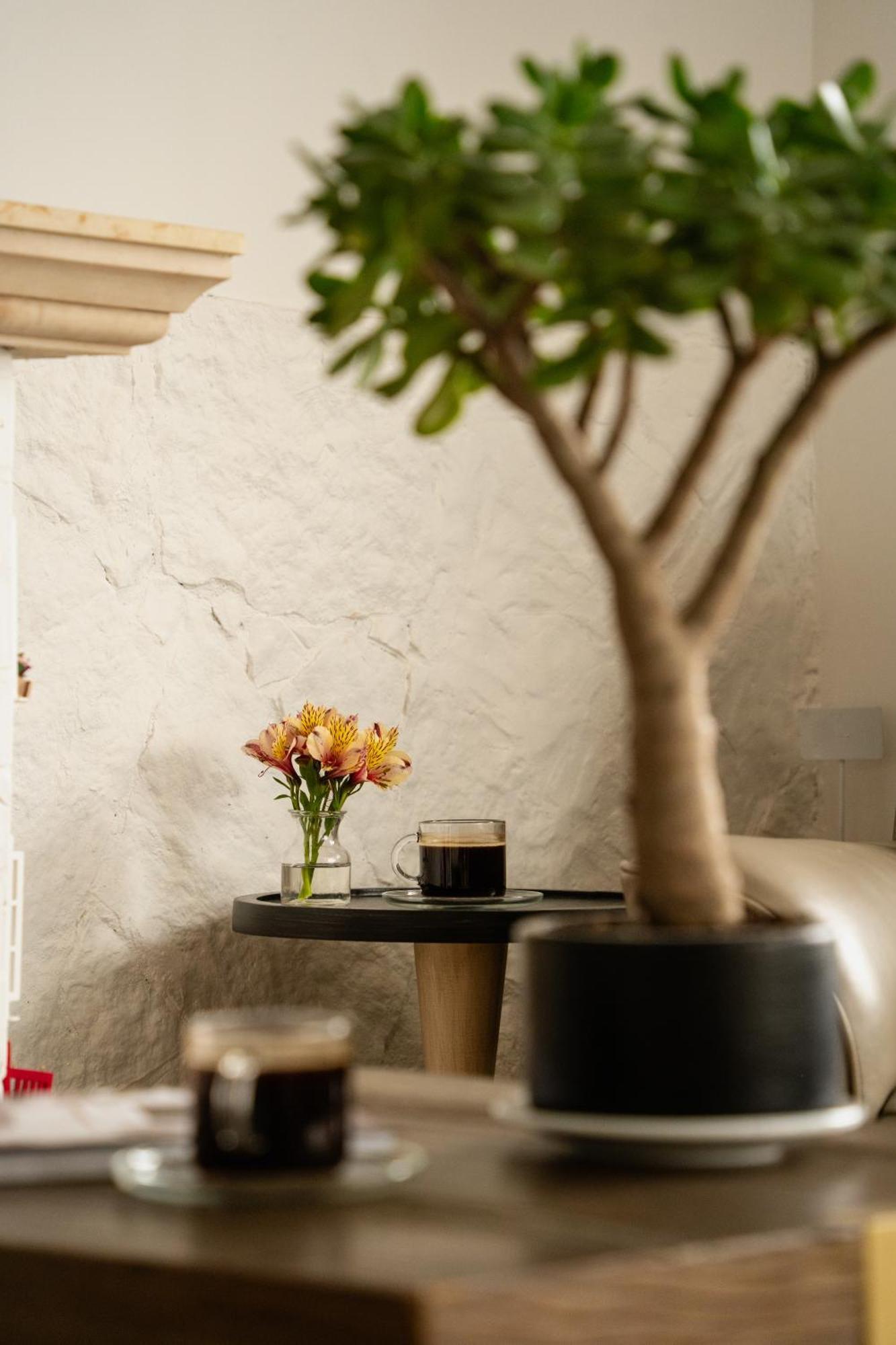 Hotel Boutique San Luis 蒙圭 外观 照片